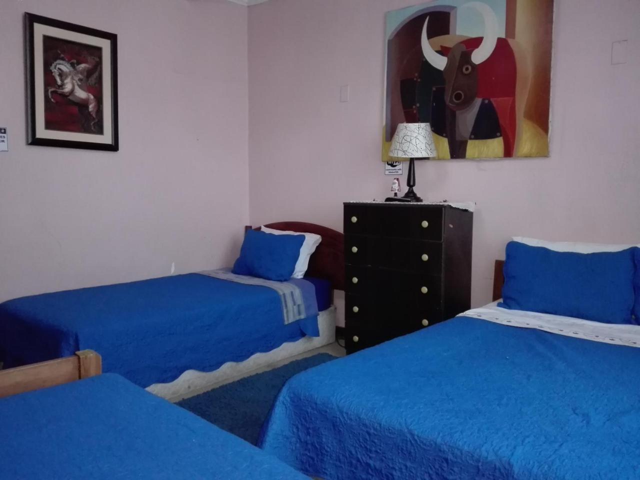 Hotel De Talca Talca  Eksteriør bilde